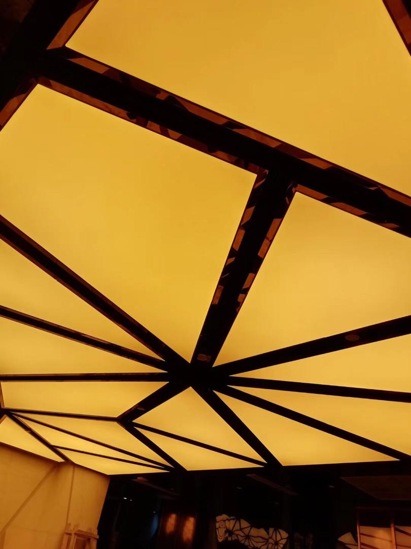 Translucent Grid Image